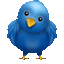 twitter flapane