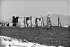 Nome del file=DSC_7575_1280.jpg
Dimensione del file=453KiB
Dimensioni=1280x859
Aggiunta il=%23 %449 %2013 DSC_7575_1280.jpg