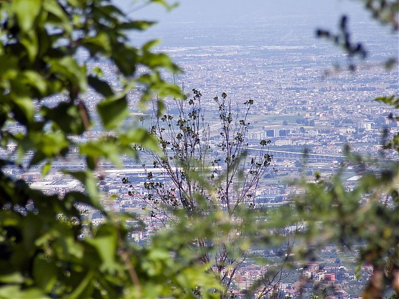 Clicca per vedere l'immagine alla massima grandezza