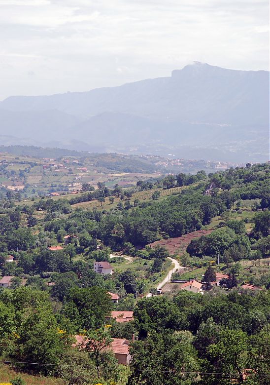 Clicca per vedere l'immagine alla massima grandezza
