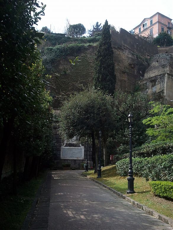 Clicca per vedere l'immagine alla massima grandezza
