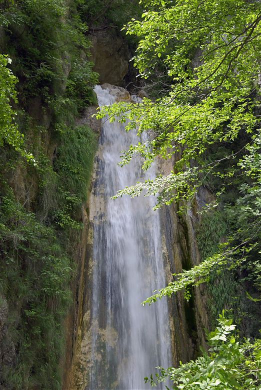 Clicca per vedere l'immagine alla massima grandezza
