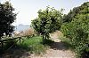 DSC02869.jpg
