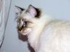 DSCF3006.jpg