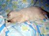 IMG_0337_(Custom).JPG