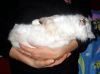 IMG_0366_(Custom).JPG
