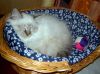 IMG_0377_(Custom).JPG