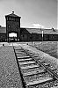 Nome del file=DSC04719.jpg
Dimensione del file=604KiB
Dimensioni=855x1280
Aggiunta il=%16 %896 %2014 DSC04719.jpg