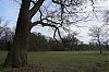 DSC06633.jpg