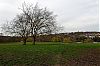 _DSC3004.jpg