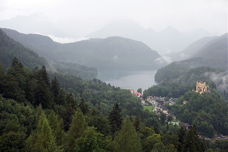 Clicca per vedere l'immagine alla massima grandezza