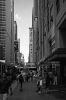 DSC_1357.jpg
