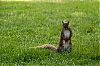 DSC_3873_1280.jpg