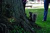 DSC_3875_1280.jpg