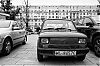 DSC05234.jpg
