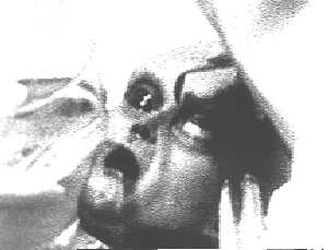 autopsia alieno