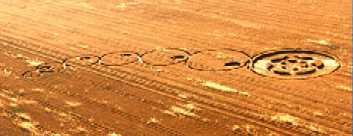 foto di cerchi nel grano