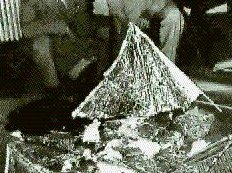 RAAF CAPTURES FLYING SAUCER ON RANCH IN ROSWELL REGION